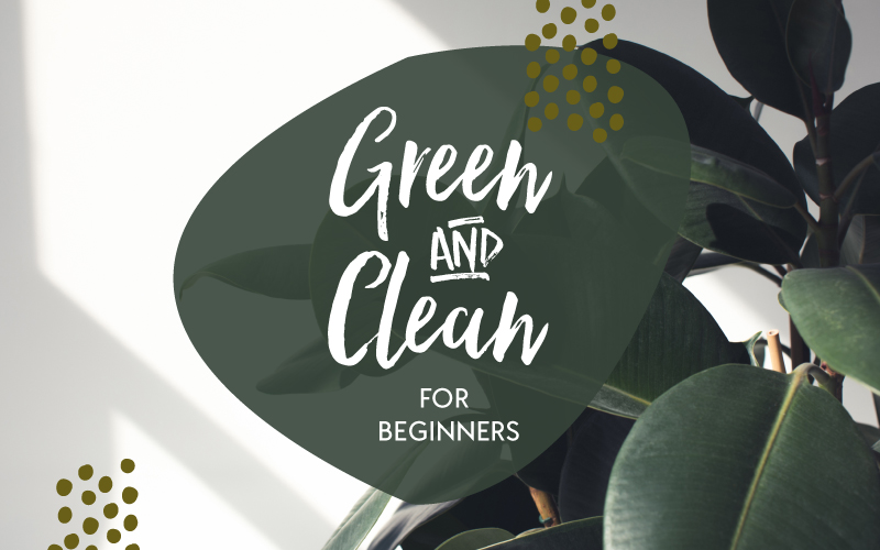 Beginners Guide: How to lead a Greener Cleaner Lifestyle